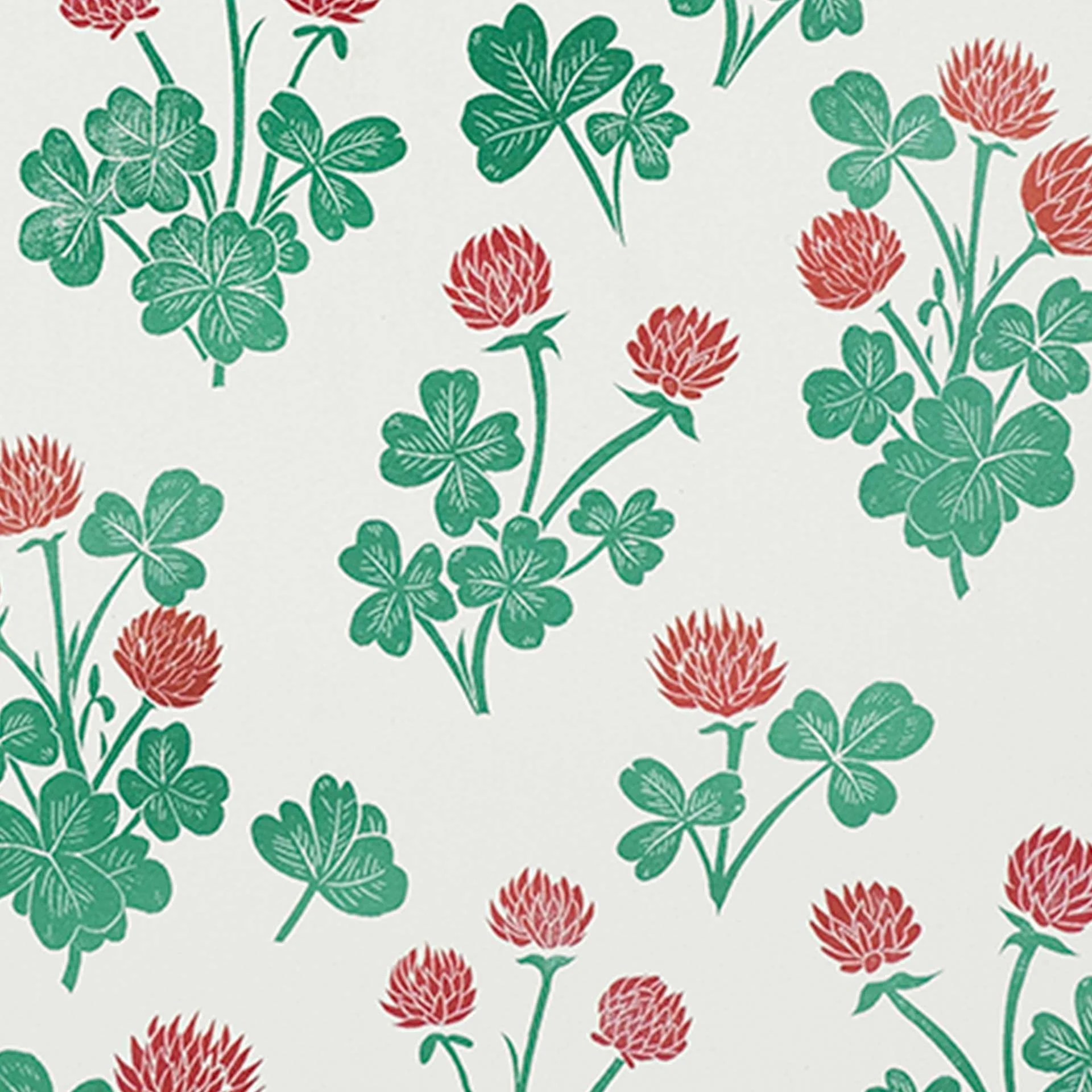 Crimson Clover Decomposition Book - Image 2