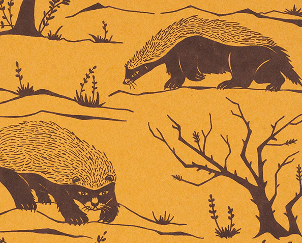 Honey Badgers Decomposition Book - Image 2