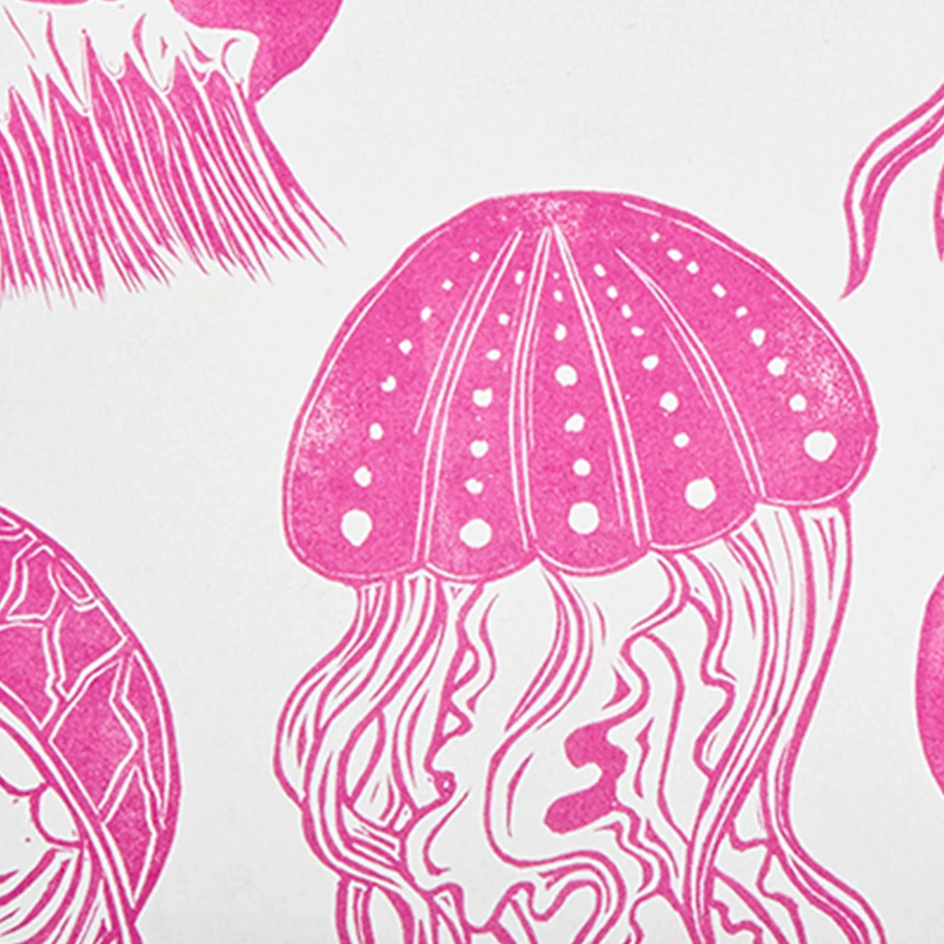 Jellyfish Decomposition Book - Image 2