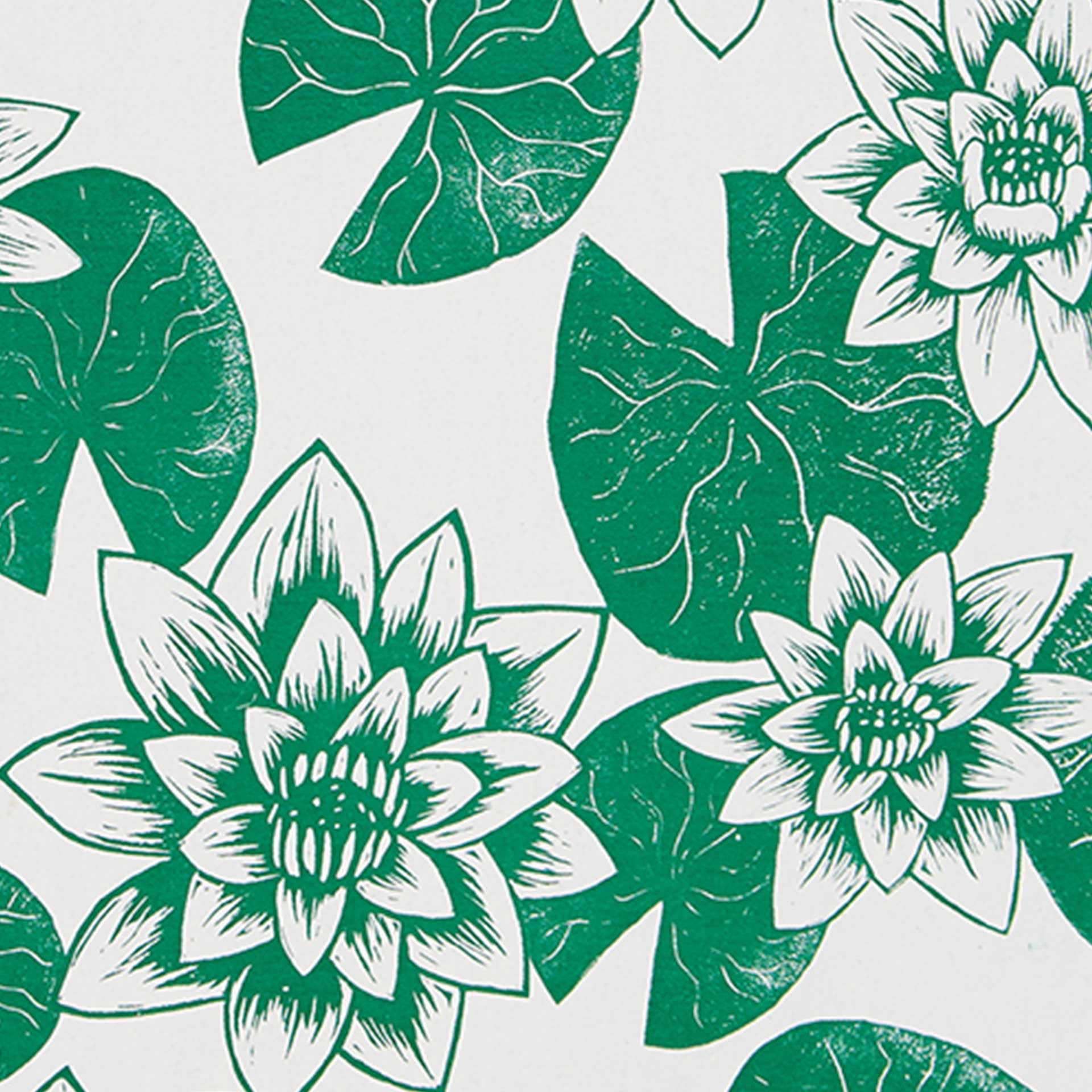 Lily Pads Decomposition Book - Image 2