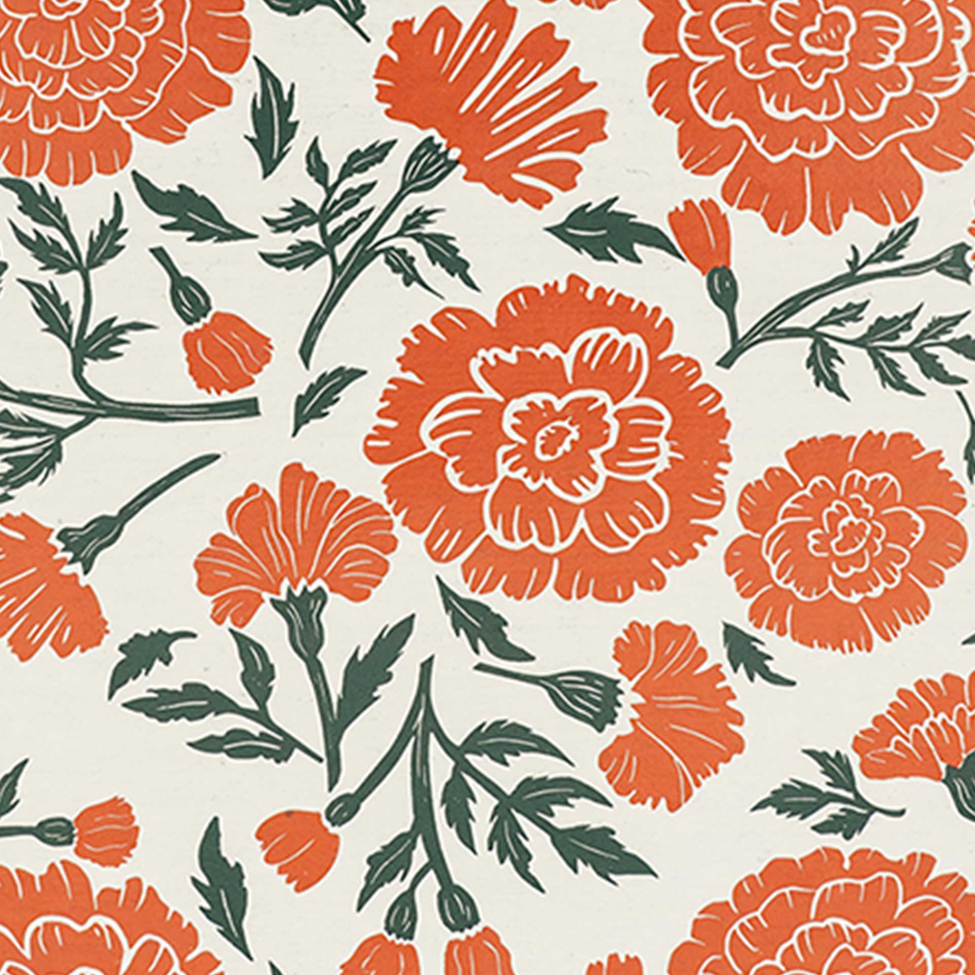Marigolds Decomposition Book - Image 2