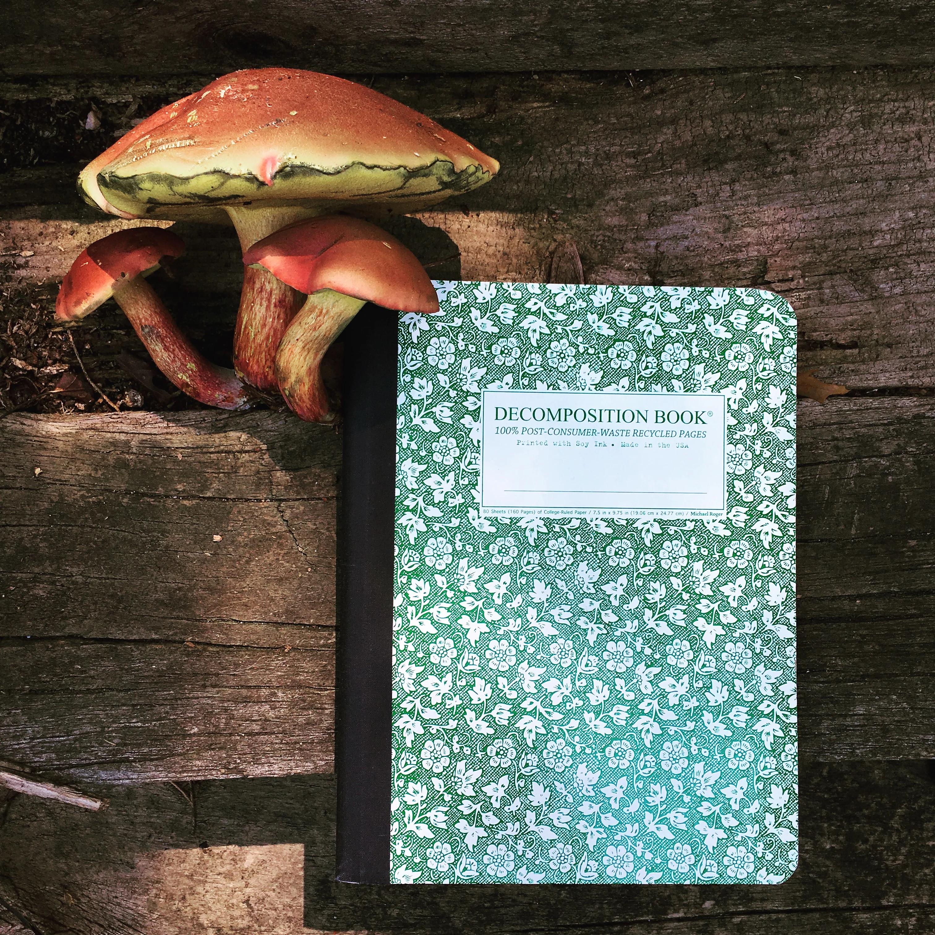 Parsley Decomposition Book - Image 3