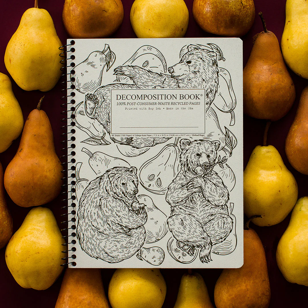 Pear Bears Decomposition Book - Image 2