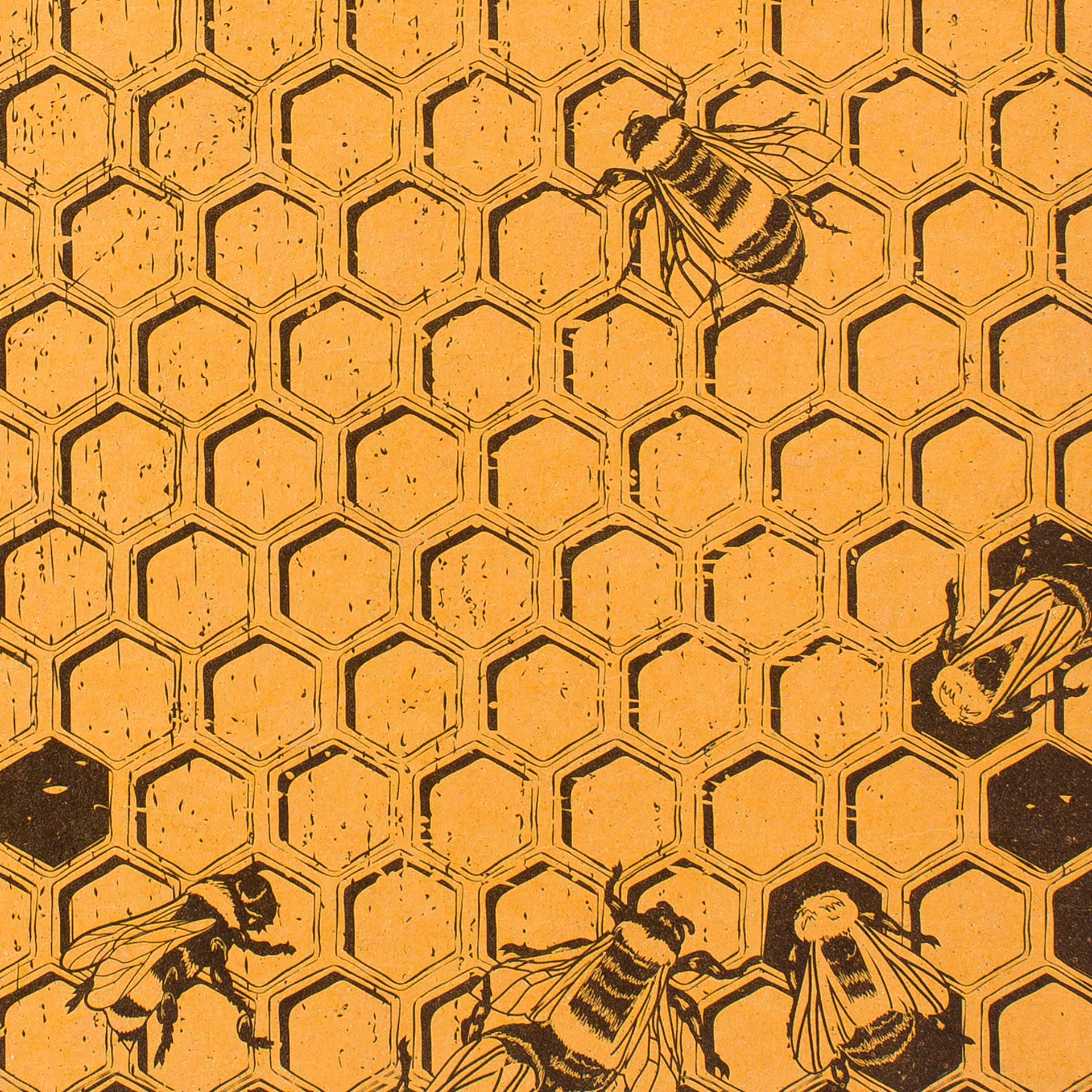 Honeycomb Pocket Sized Decomposition Book - Image 2