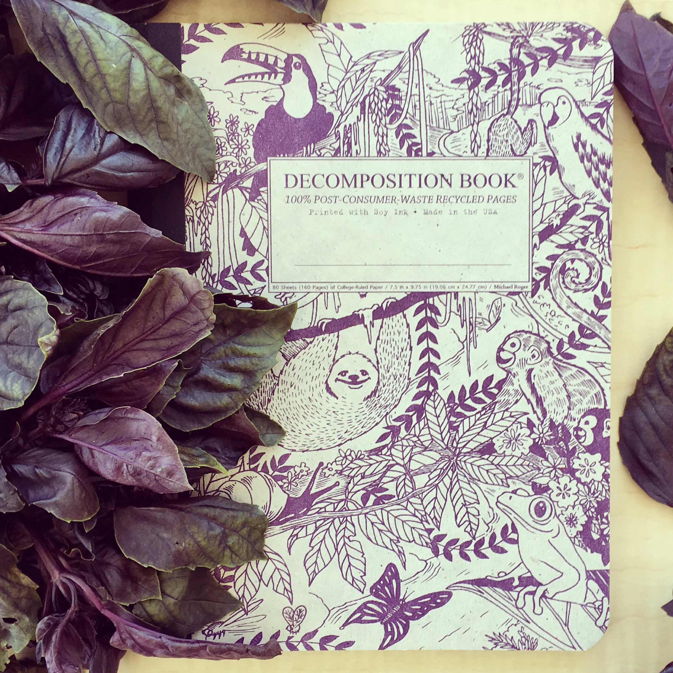 Rainforest Decomposition Book - Image 4