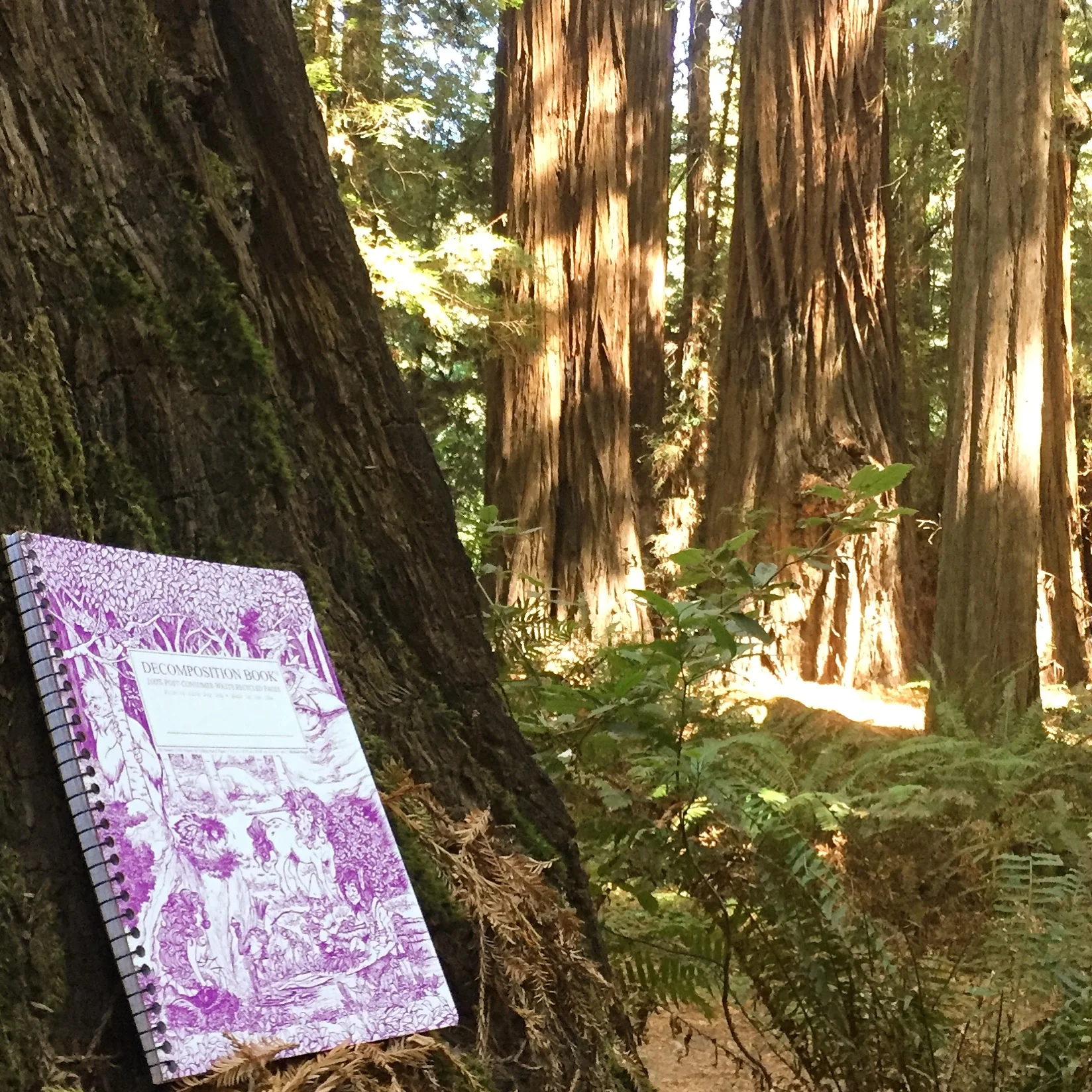 Fairytale Forest Decomposition Book - Image 3