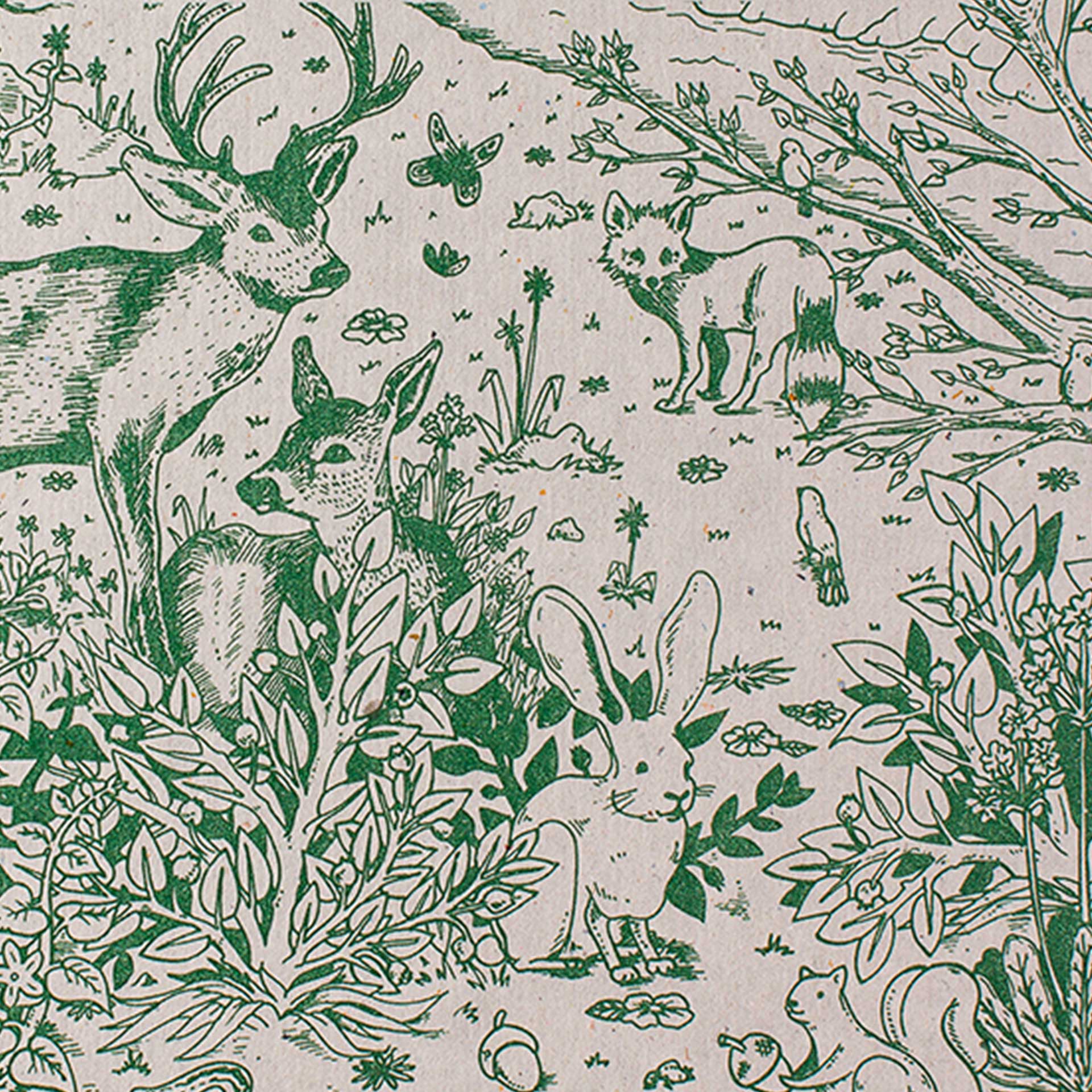Sylvan Animal Decomposition Book - Image 2