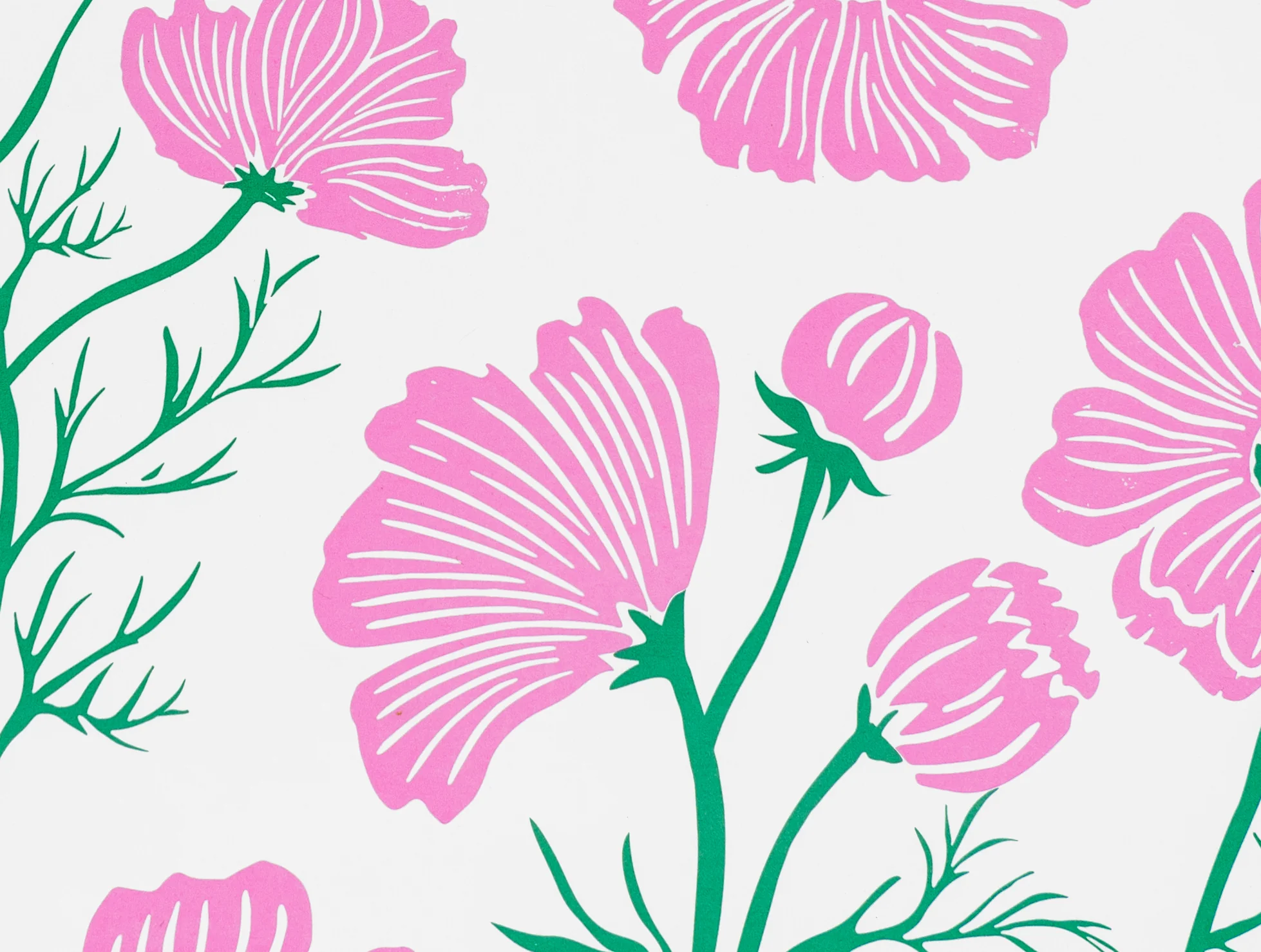 Cosmos Flowers Decomposition Book - Image 2
