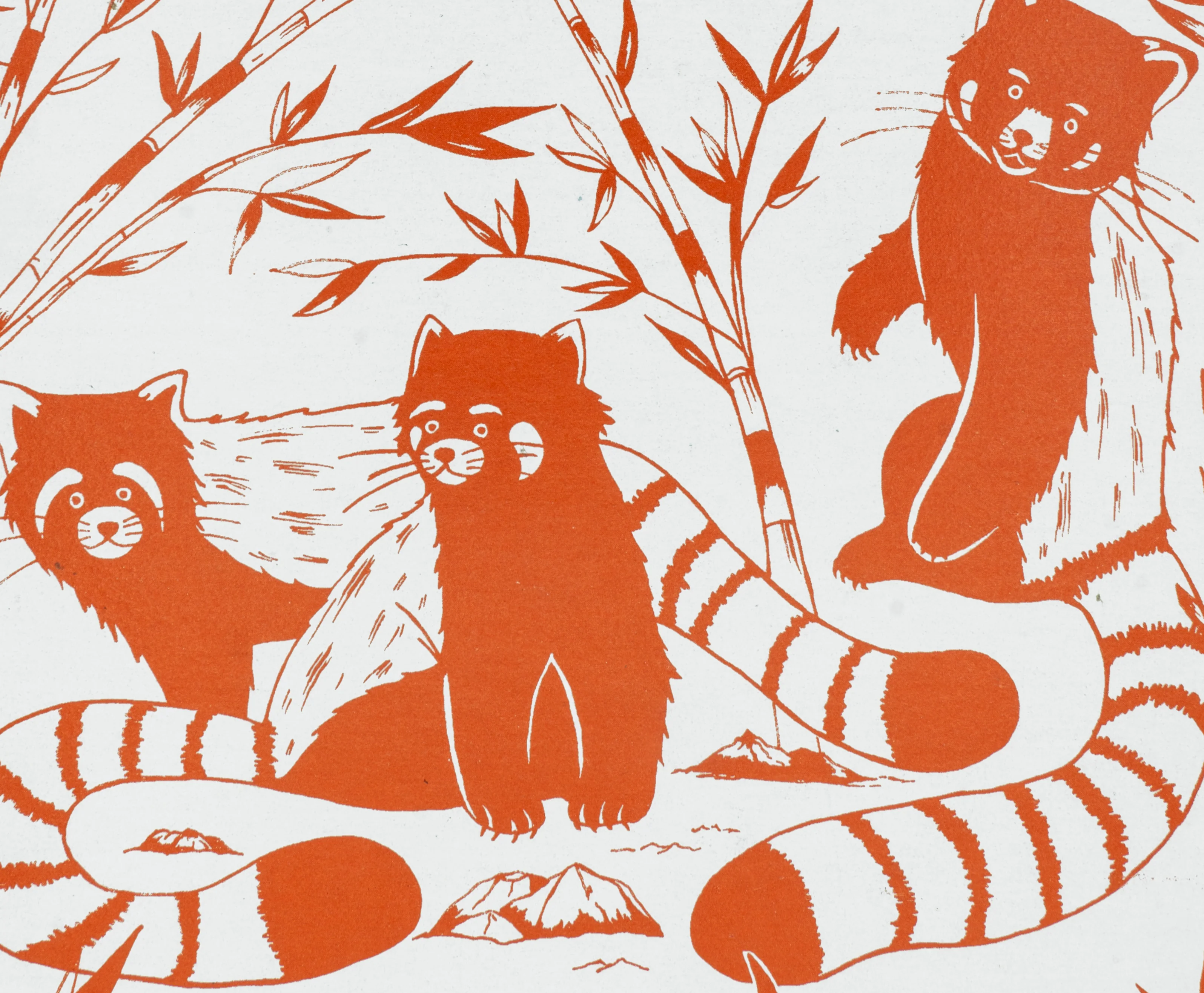 Topbound Pocket Sized Red Pandas Decomposition Book - Image 2